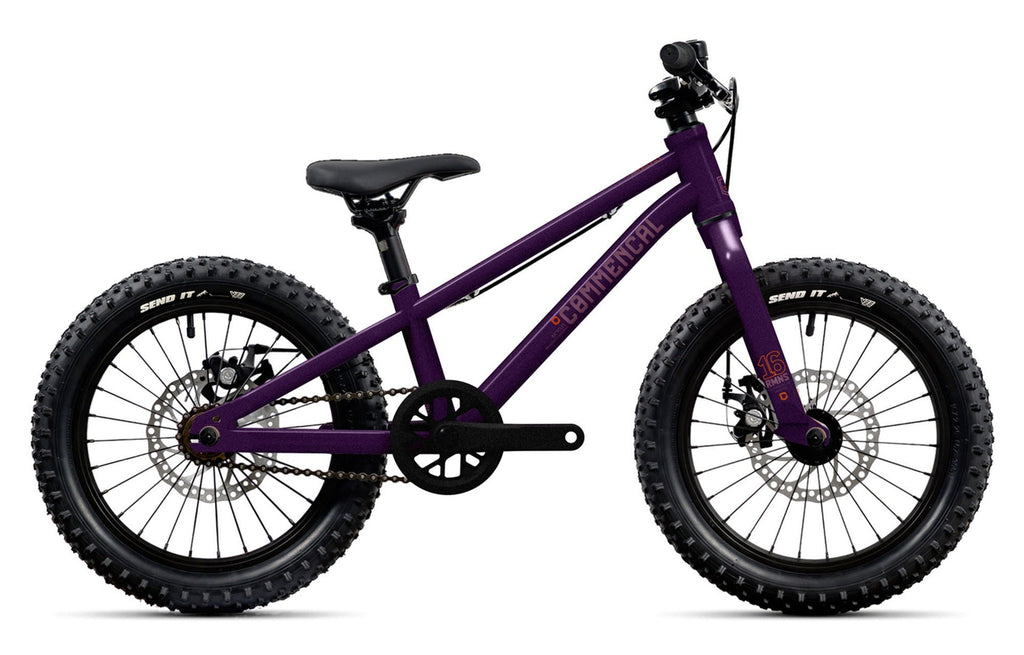 RMNS 16 Purple 2022